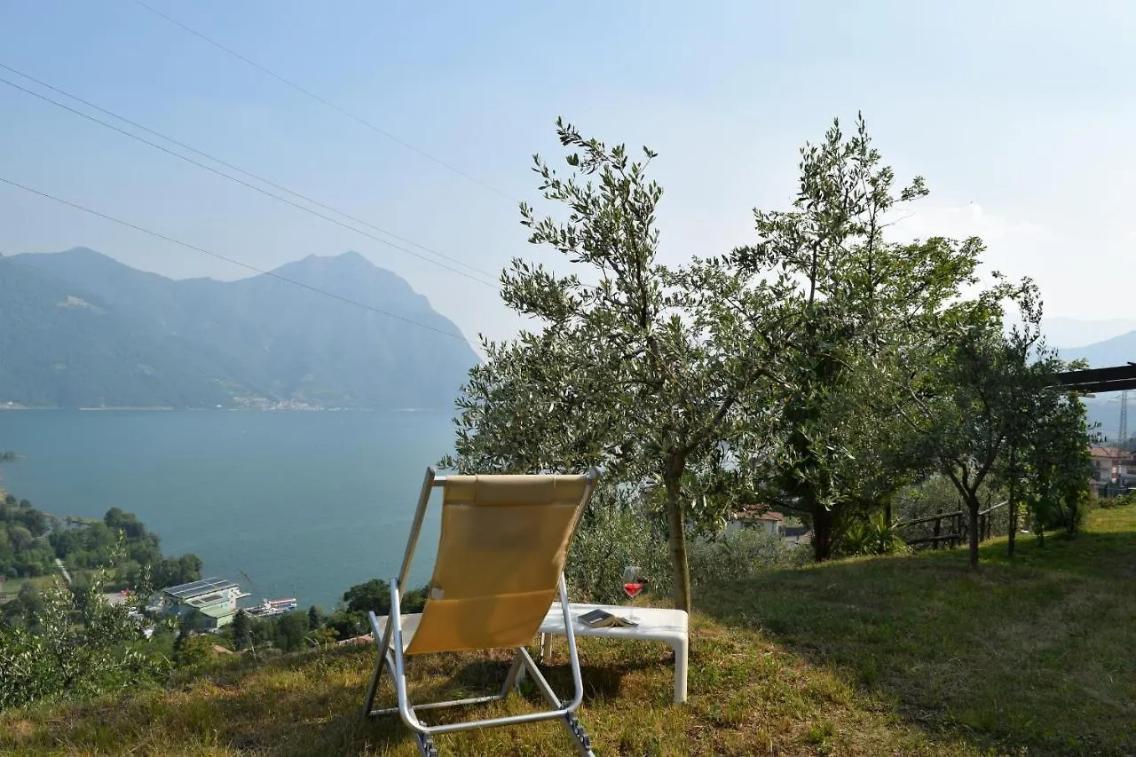 Villa Domus Bianca Mountain Lake Iseo Hospitality Costa Volpino