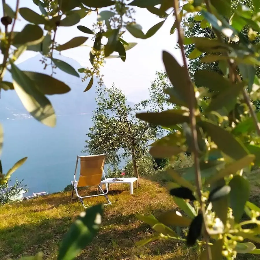 Villa Domus Bianca Mountain Lake Iseo Hospitality Costa Volpino 0*,  Ιταλία