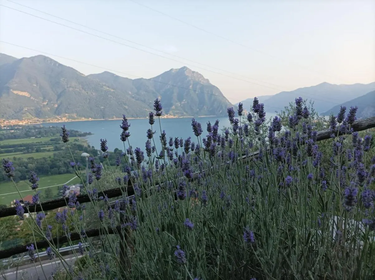 קוסטה וולפינו Villa Domus Bianca Mountain Lake Iseo Hospitality איטליה